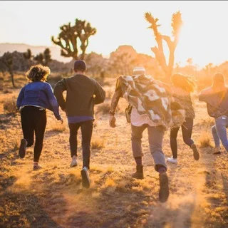 The Chamber of Secrets