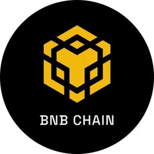 BNB Chain ✔