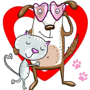 Chat! Aide pour les animaux sans abri ❤ Du cœur à cœur ❤