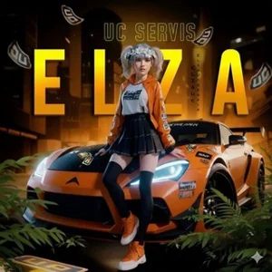 ELZA GAMING | CHAT