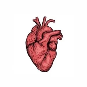 互粉互关 💖👨‍💻