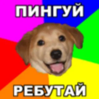 Networking for Everyone