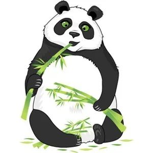 Panda's Quiz Chat