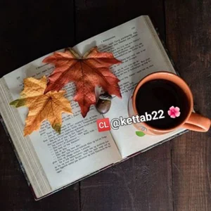 Книги о успехе и мотивации