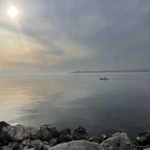 贝利克杜祖 🏘 邻里社区