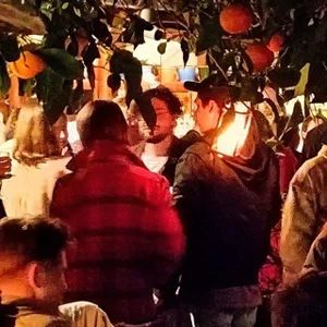 Tender is the Night / Calendar Kas