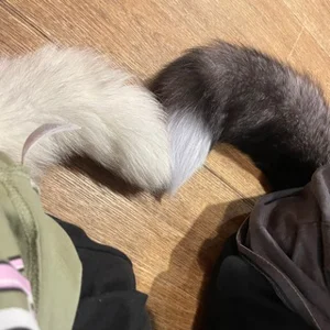 ノルキス・パック・チャット