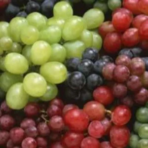 Garden and Vineyard for All