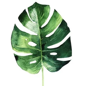 Green World LCD Lyuberetskiy