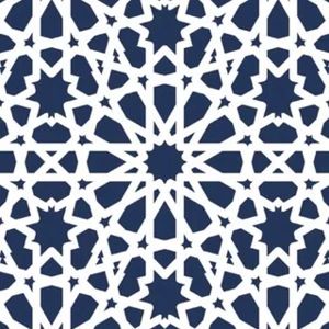 Meshari bin Saad al-Shathri 频道