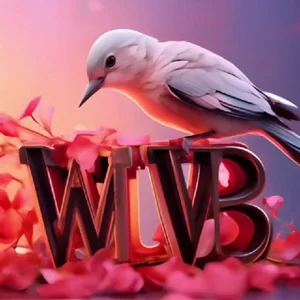 Wildberries Infographics & Card Design