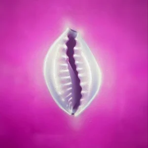 Women's Gorno-Altaysk