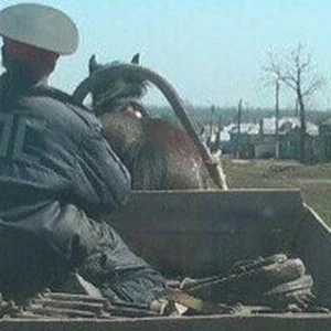 BDD Kazan (Unfälle, DPS 116)