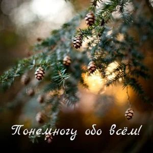 Mỗi Thứ Một Chút!