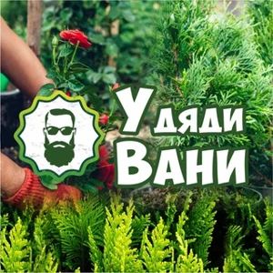 万尼亚大叔的植物店