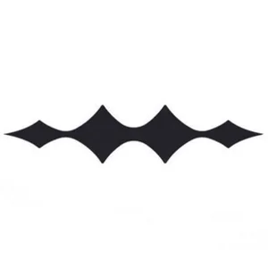 Chát Câu Lạc Bộ BYD Leopard