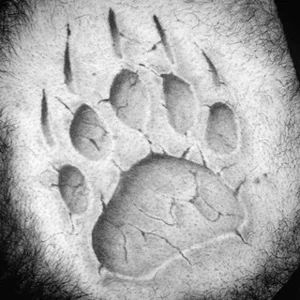 Trò chuyện Khu du lịch trượt tuyết Medvezhya Dolina