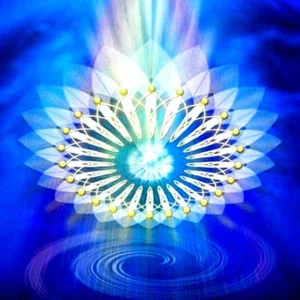 💡 자신을 표현하세요 그룹! 💡