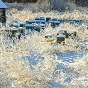 Imker des Nordwestens