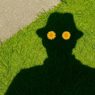 Vĩnh cửu trong túi