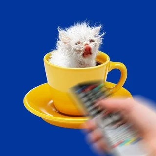 お茶を淹れて、再生して